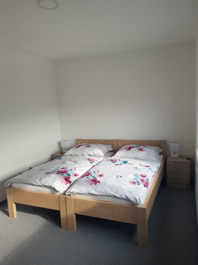 Apartmaji Jankovic Logatec Ngoại thất bức ảnh